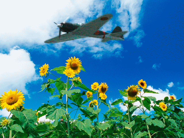 永遠の0真珠湾（4）